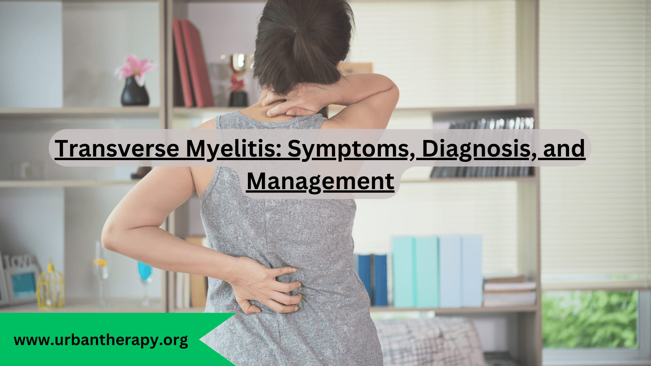 Transverse Myelitis: Symptoms, Diagnosis, And Management